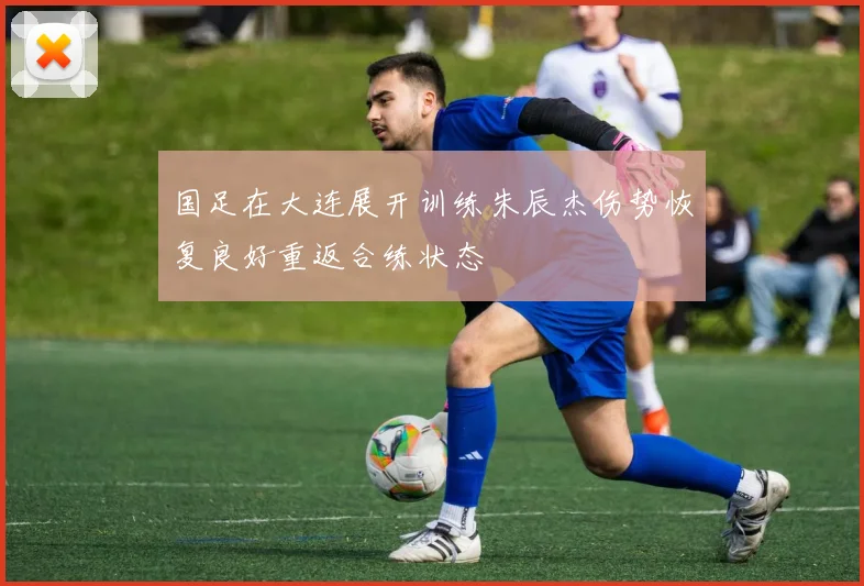 国足在大连展开训练朱辰杰伤势恢复良好重返合练状态